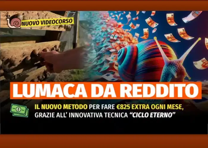 Download Lumaca da Reddito di Rendita Agricola