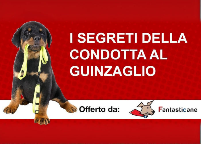 Download I Segreti della Condotta al Guinzaglio di Fantasticane