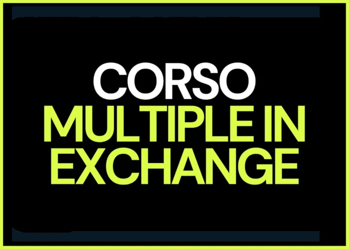 Download Corso Multiple in Exchange di Amato Sabatini