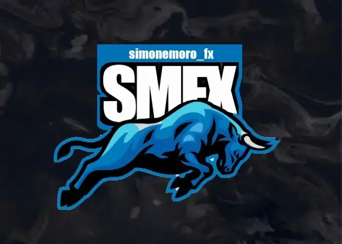 Download SMFX Academy di Simone Moro
