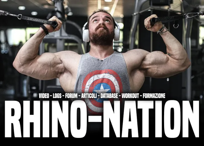 Download RhinoNation di Ludovico Lemme