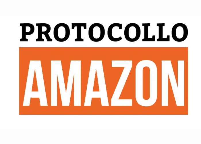 Download Protocollo Amazon di Michele Taverna