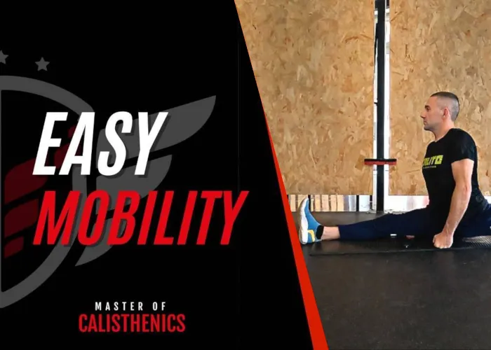 Download Easy Mobility di Claudio Negro