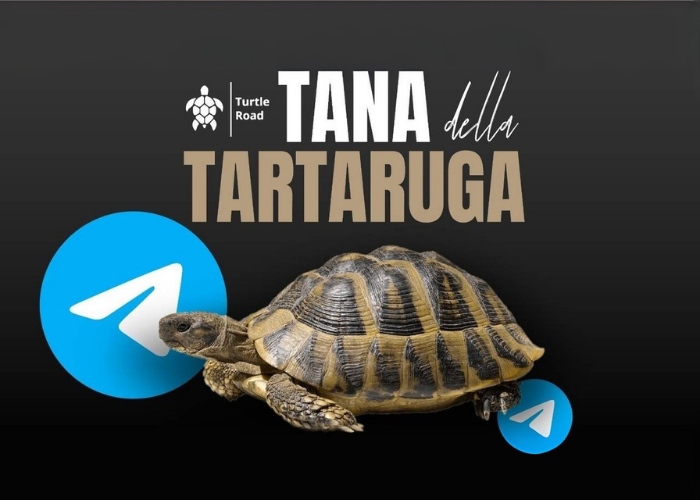 Download Tana della Tartaruga di Federico Ronzoni