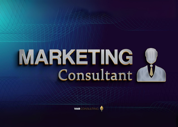 Download Marketing Consultant Vol. 1 e 2 di Roberto Maria Vadalà