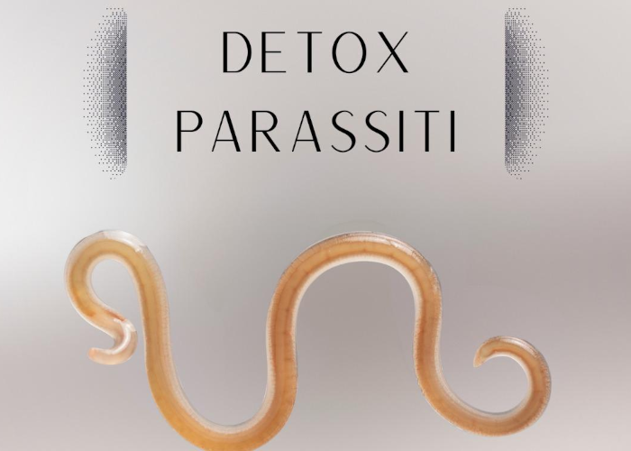 Download Detox Parassiti di Lorenzo Biohacker